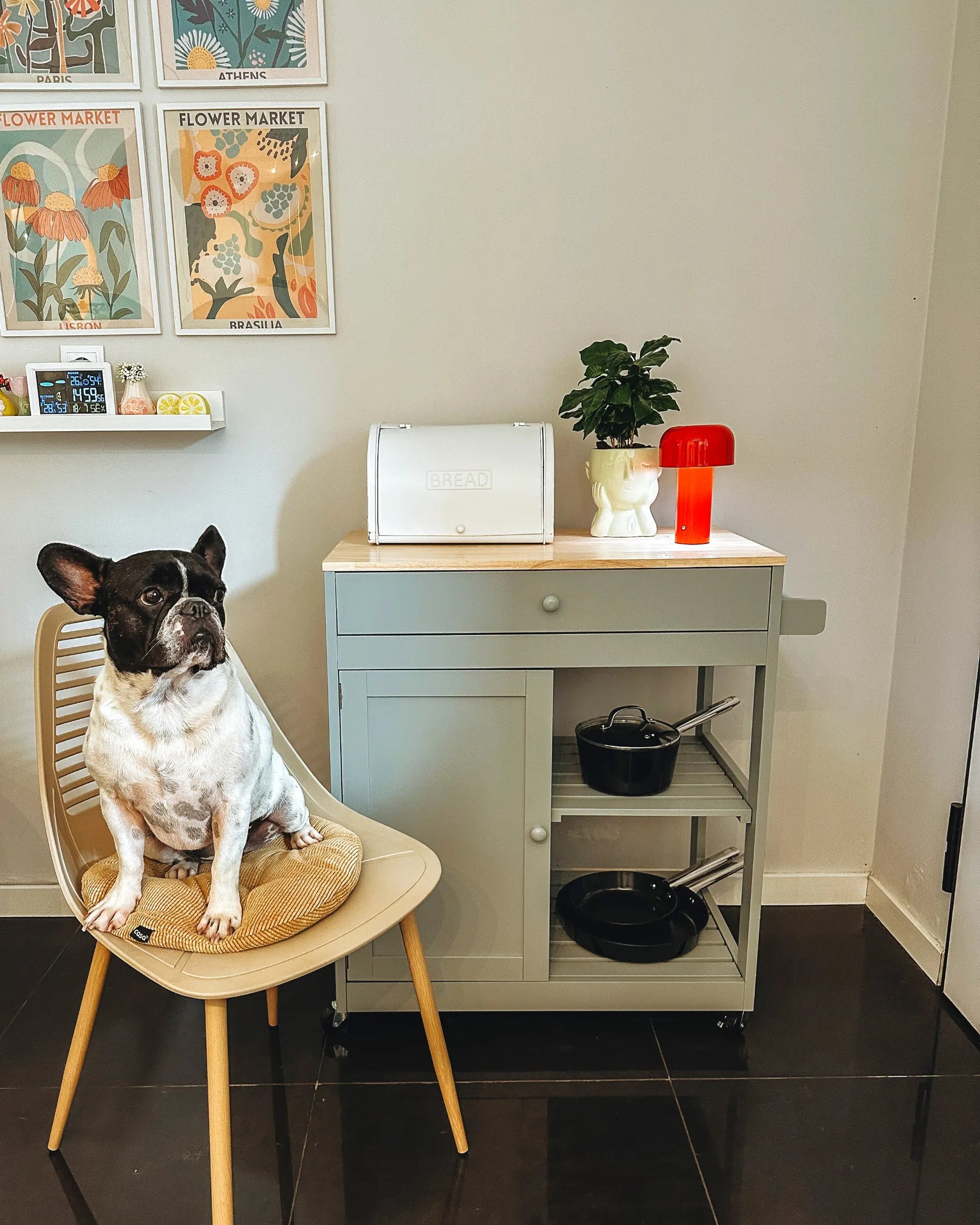 Kitchen Trolley TRAPANI Grey