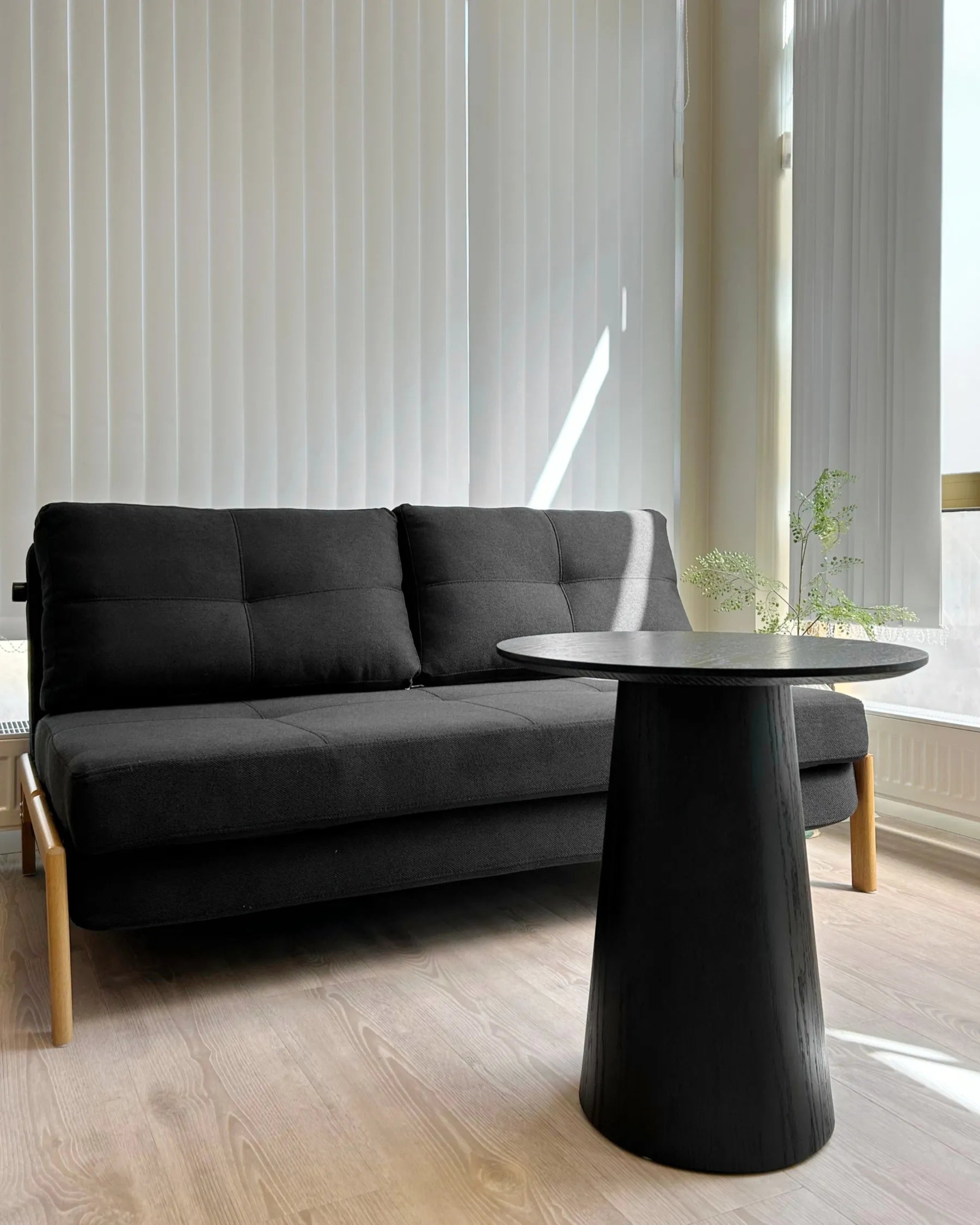 Sofa Bed 2 Seater EDLAND Fabric Black