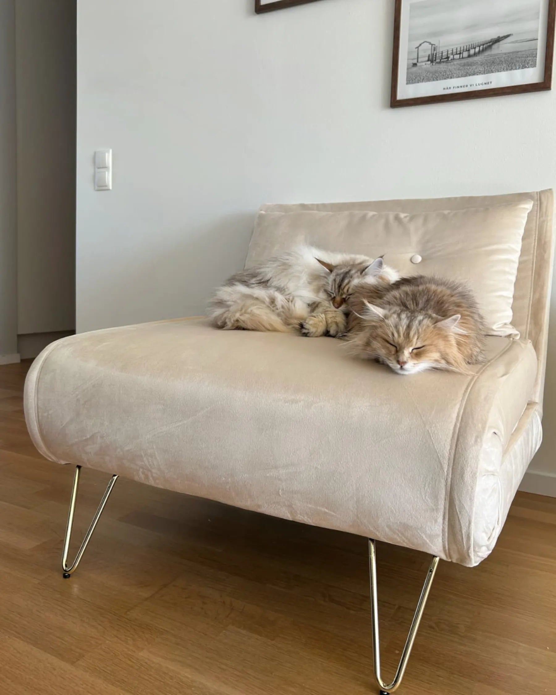 Single Sofa Bed VESTFOLD Velvet Beige