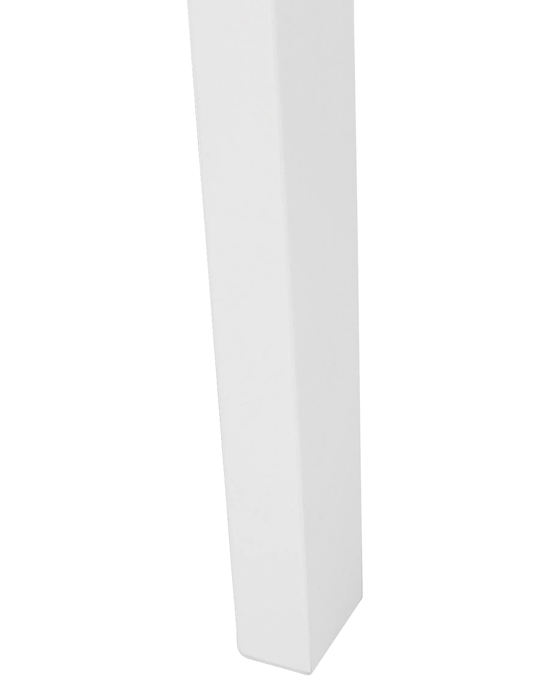 Set of 2 Dining Chairs Wood White