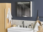 Bathroom Wall Mounted Mirror Cabinet LED JARAMILLO 60 cm 60 cm White