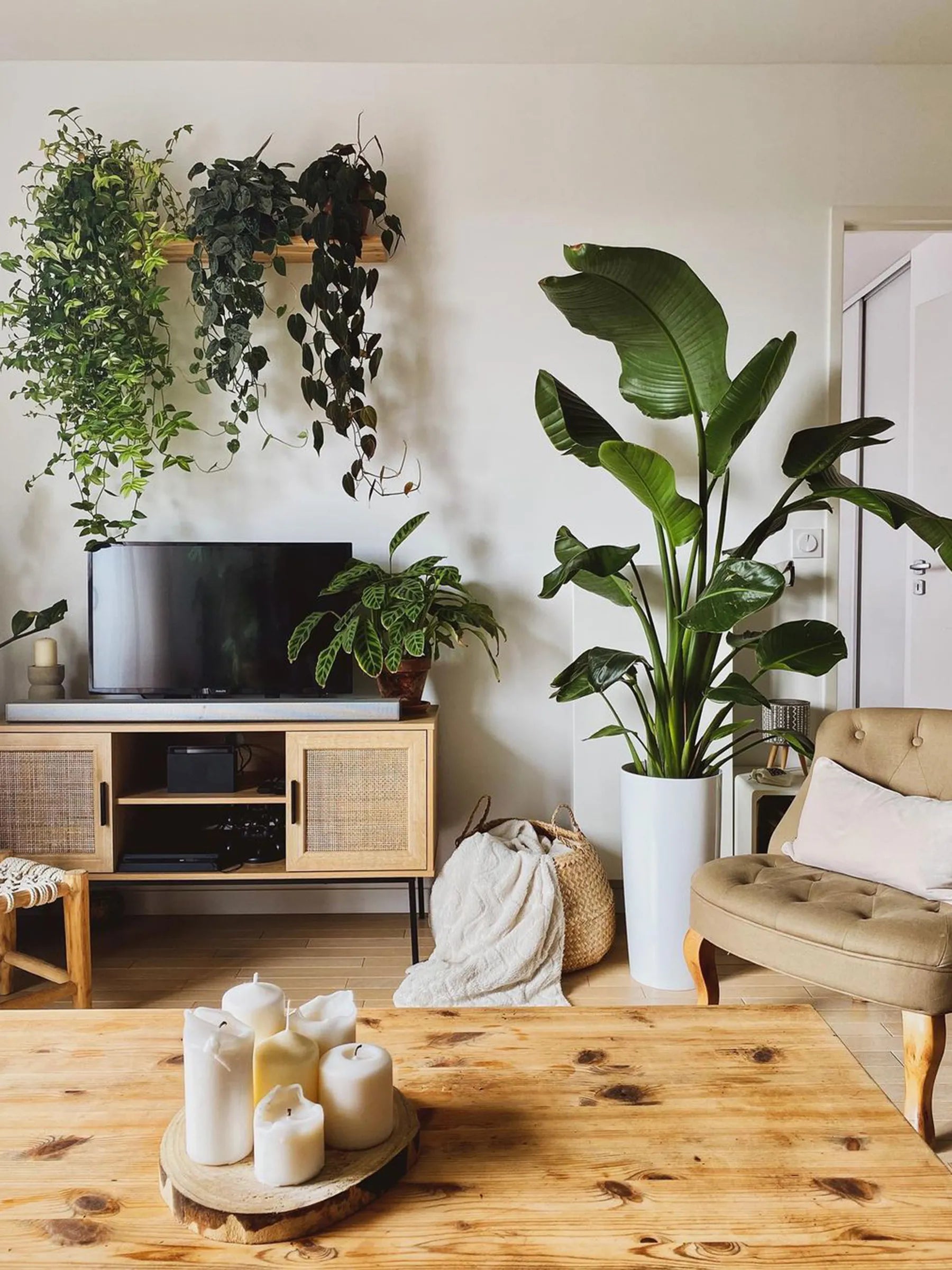 TV Stand PASCO Rattan Light Brown