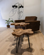 Set of 2 Side Tables CAMROSE Teak Wood Dark Brown