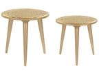 Set of 2 Side Tables NARRA Mango Wood Gold
