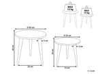 Set of 2 Side Tables UDAY Mango Wood White