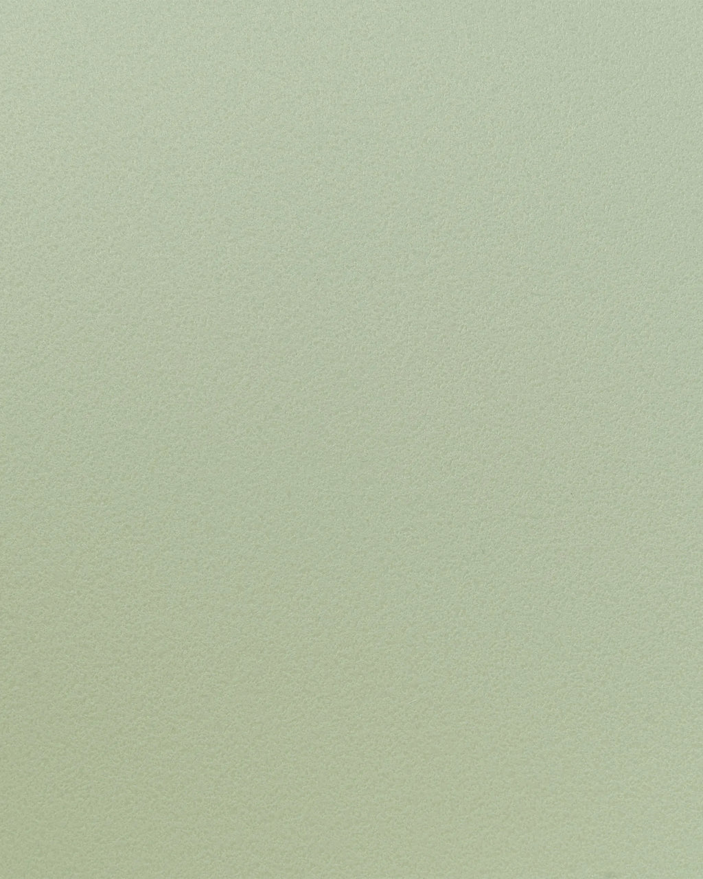 Set of 2 Dining Chairs II Light Green