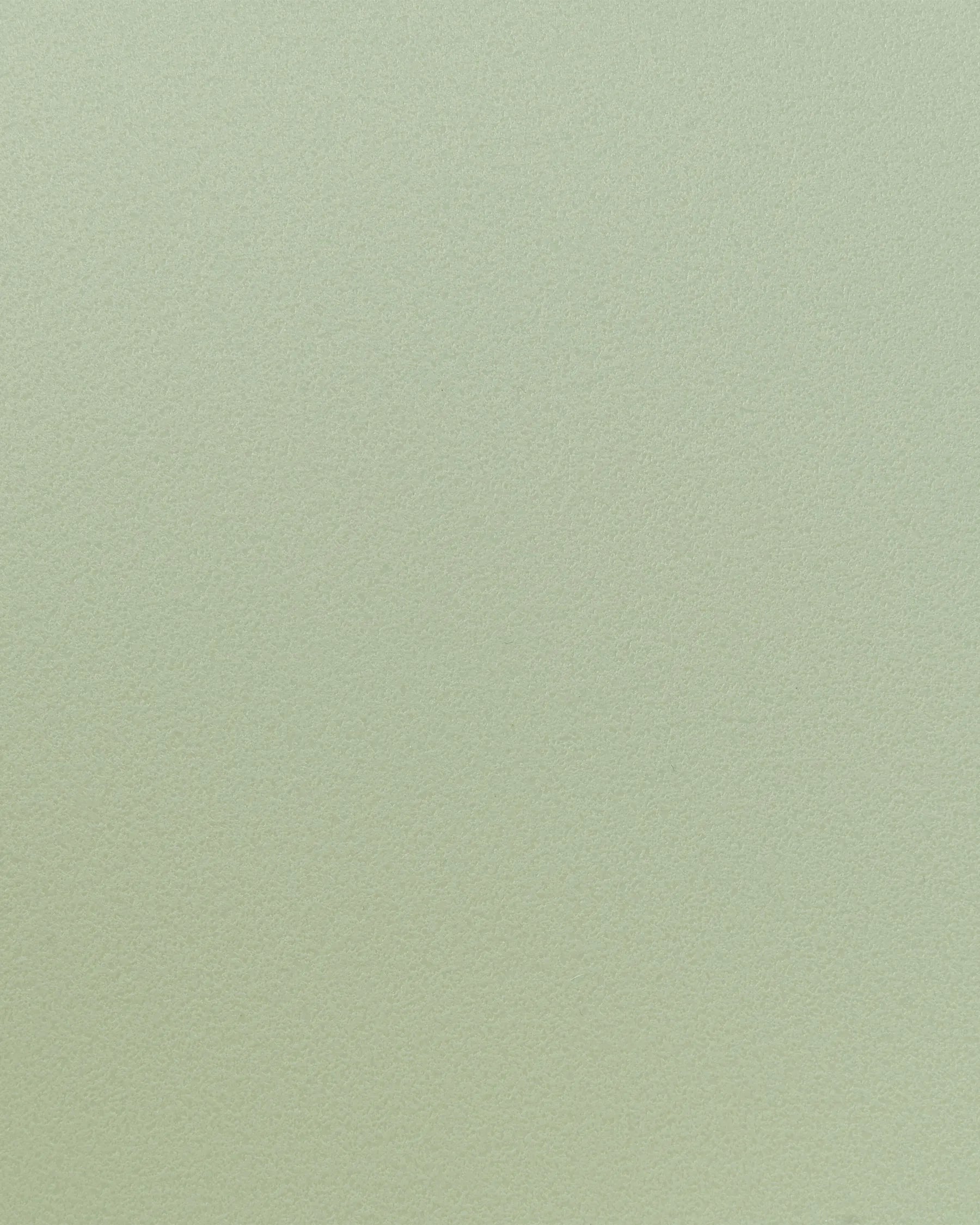 Set of 2 Dining Chairs II Light Green