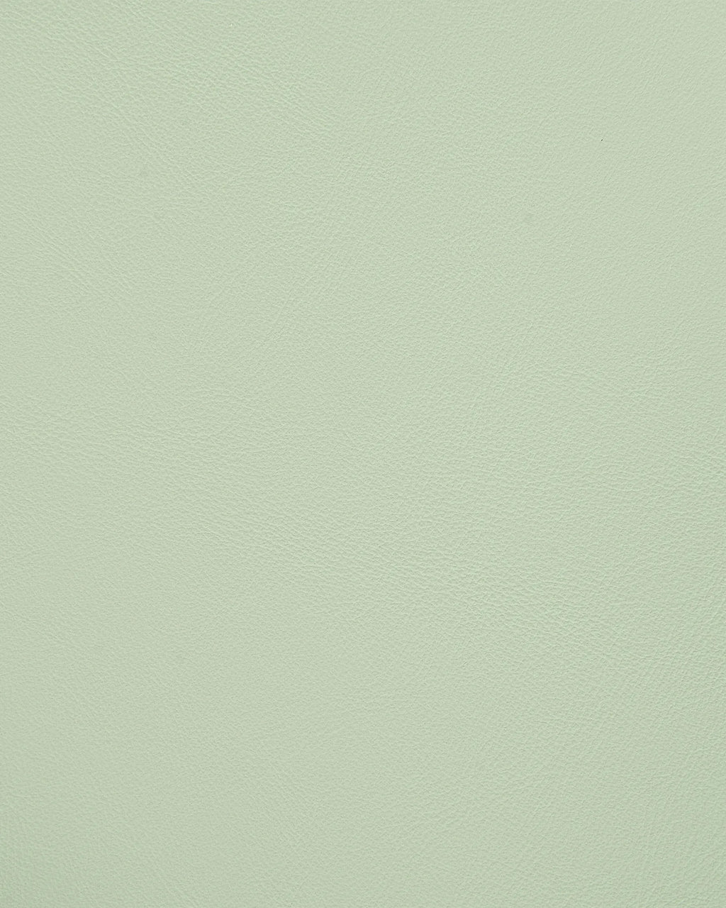 Set of 4 Dining Chairs Light Green