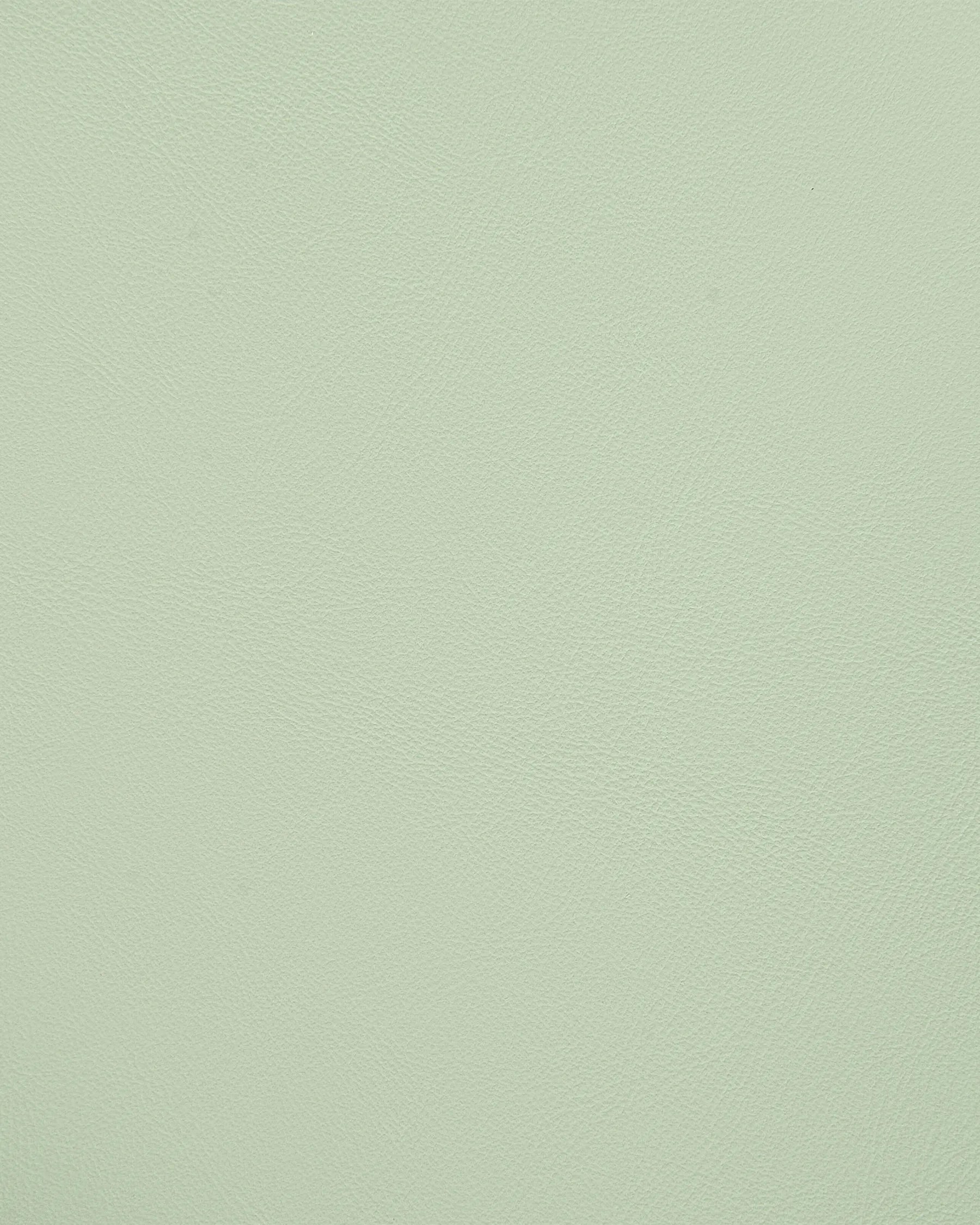 Set of 4 Dining Chairs Light Green