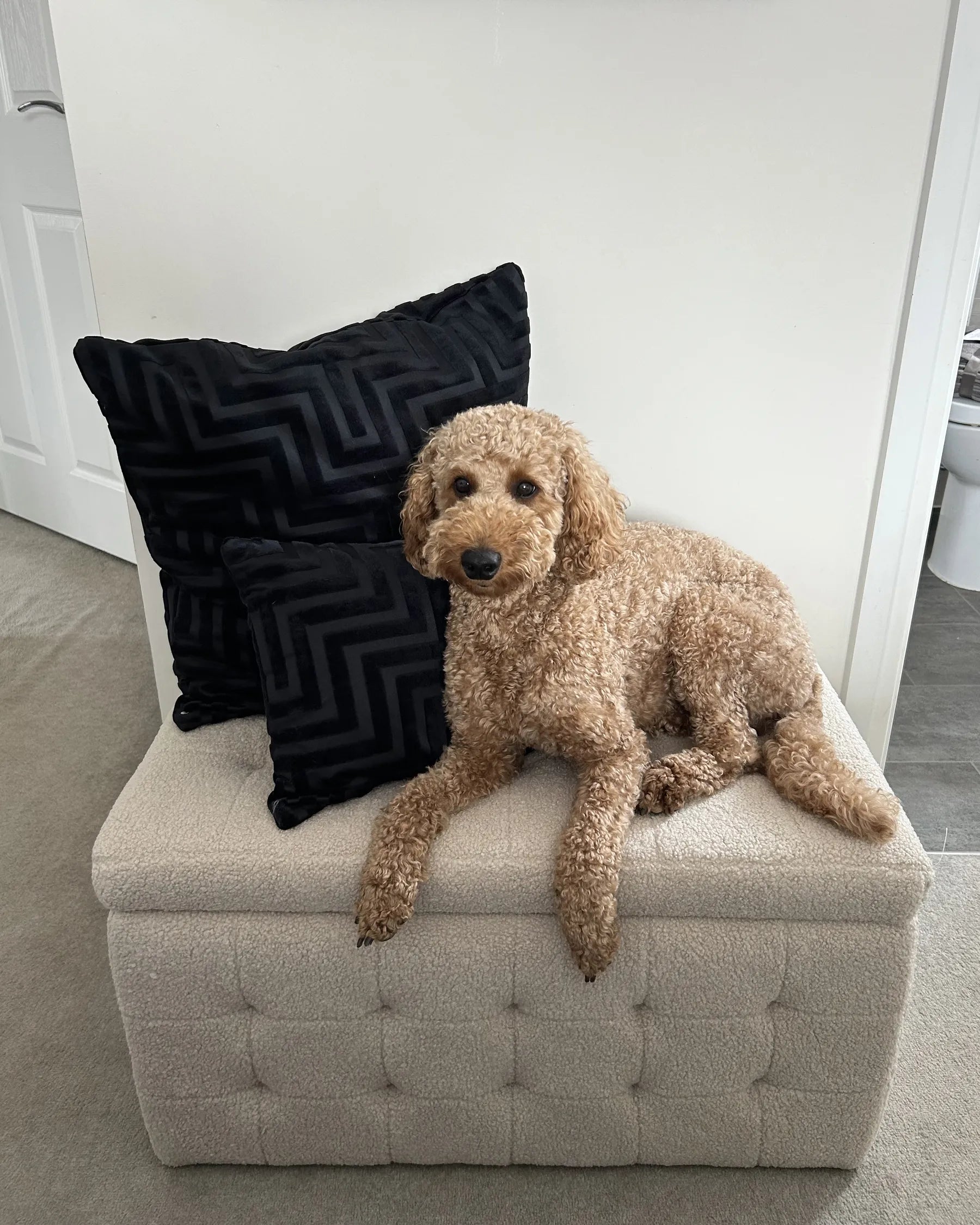 Storage Ottoman MICHIGAN Boucle Beige