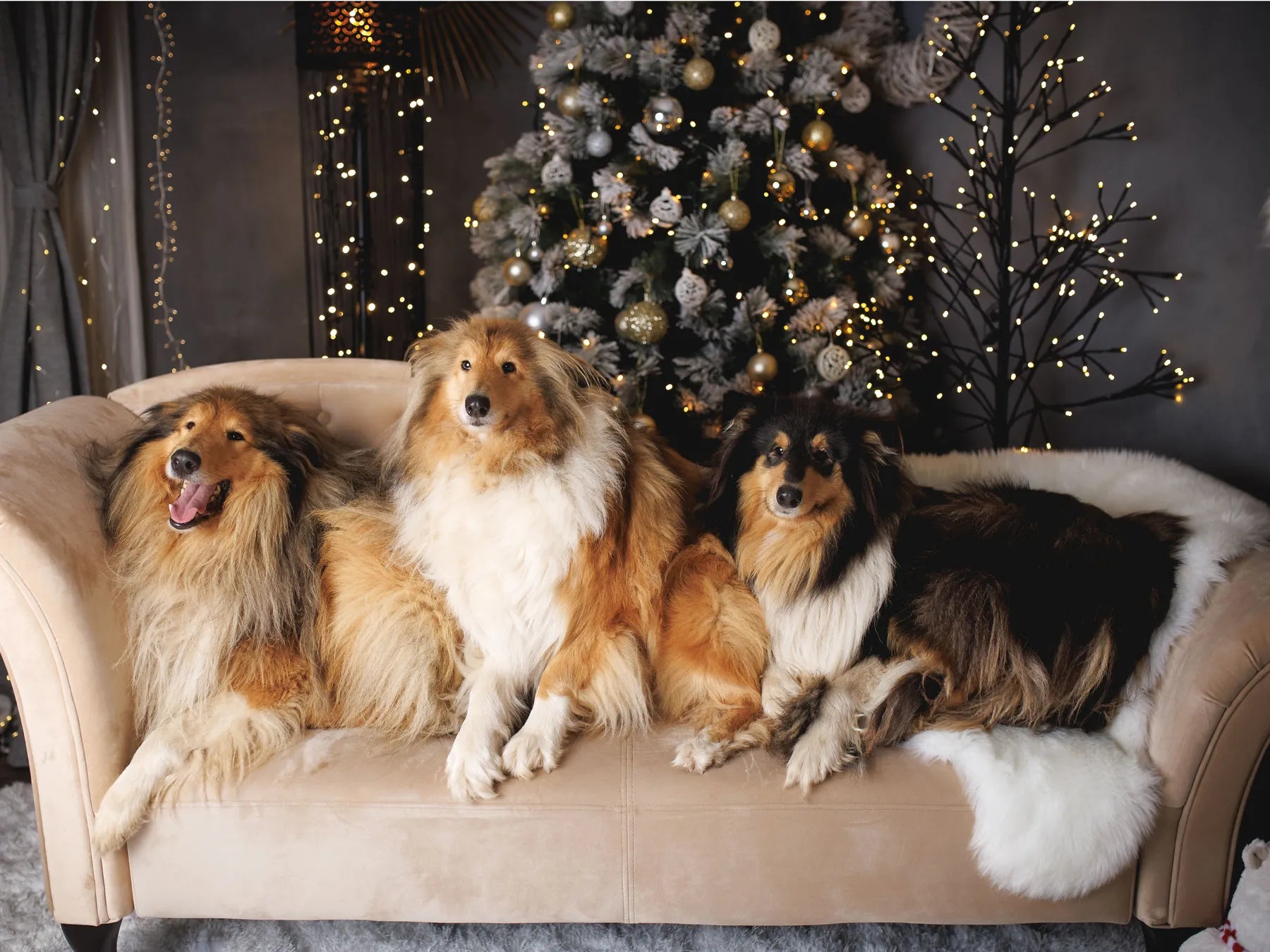 Left-Hand Chaise Lounge LATTES Velvet Beige