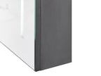 Bathroom Wall Mounted Mirror Cabinet LED CAMERON 40 cm 60 cm Black