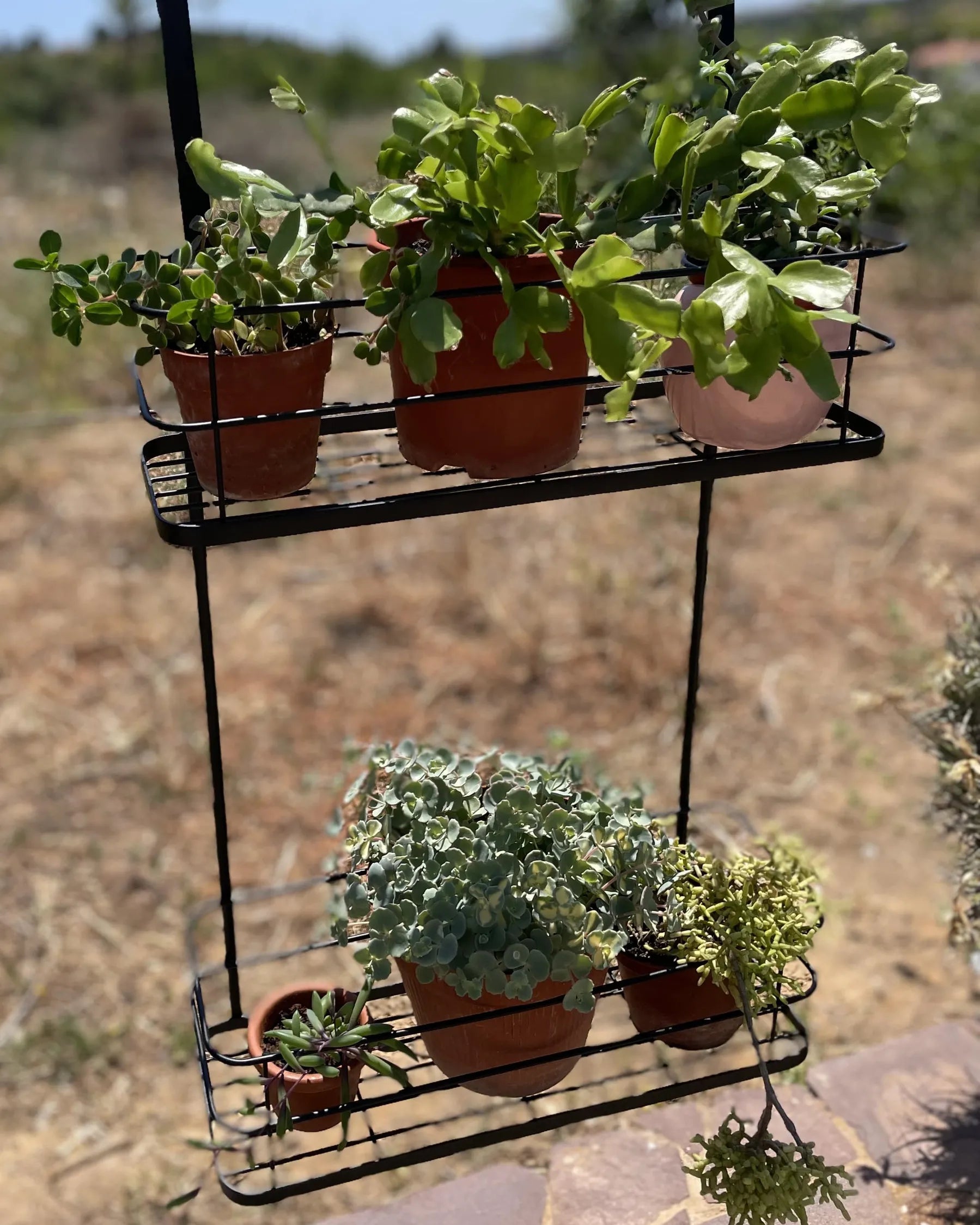 Hanging Shelf TAYASU Metal Black