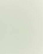 Wall Bookshelf LILOET 100 cm Light Green