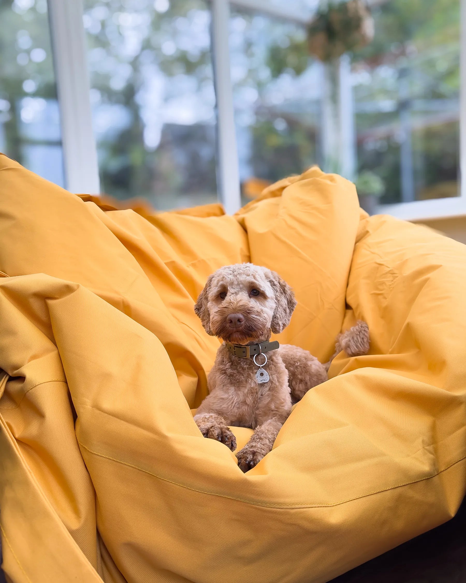 Bean Bag 600 L FUZZY 180 cm 230 cm Yellow