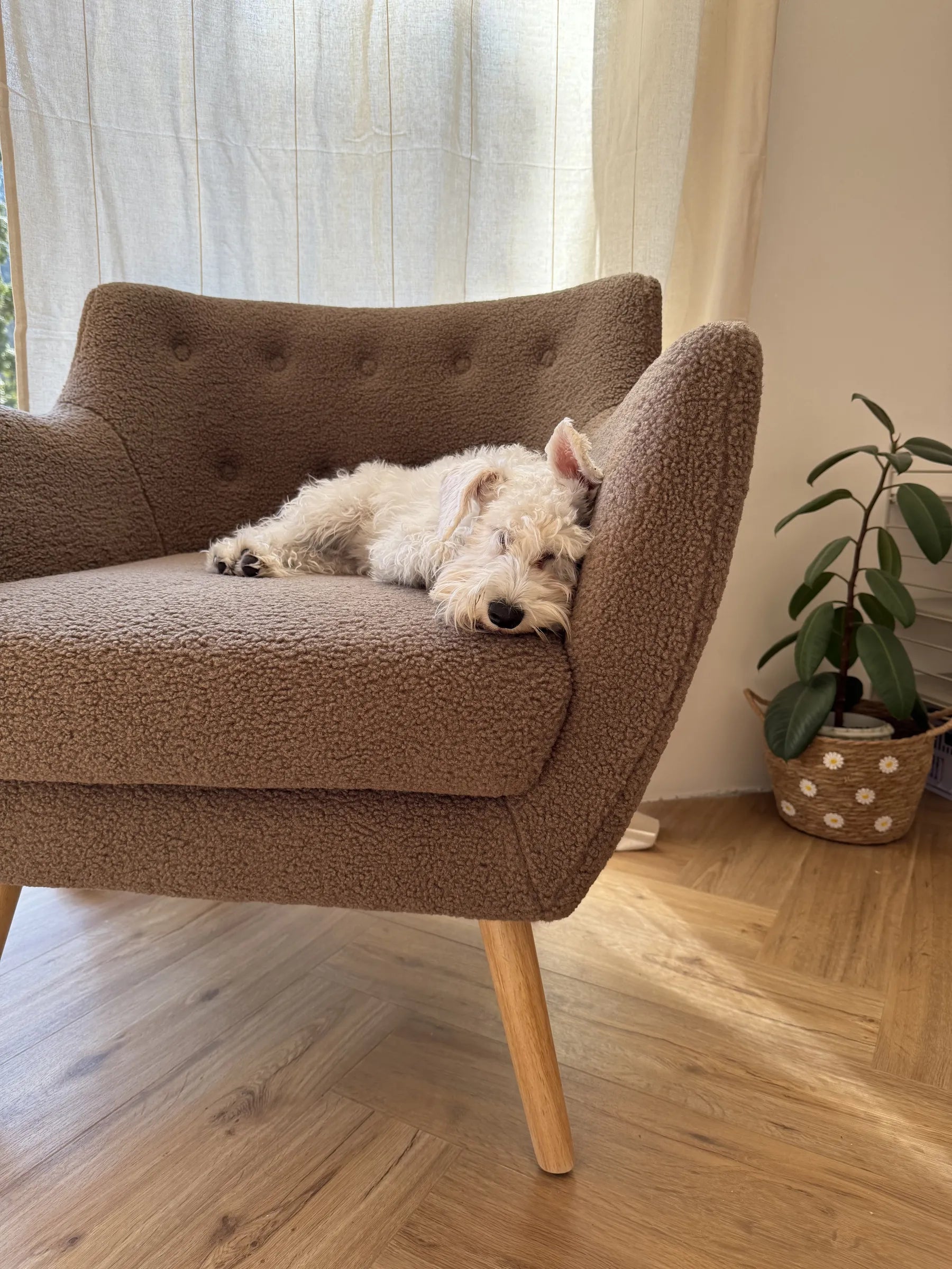 Armchair DRAMMEN Boucle Brown
