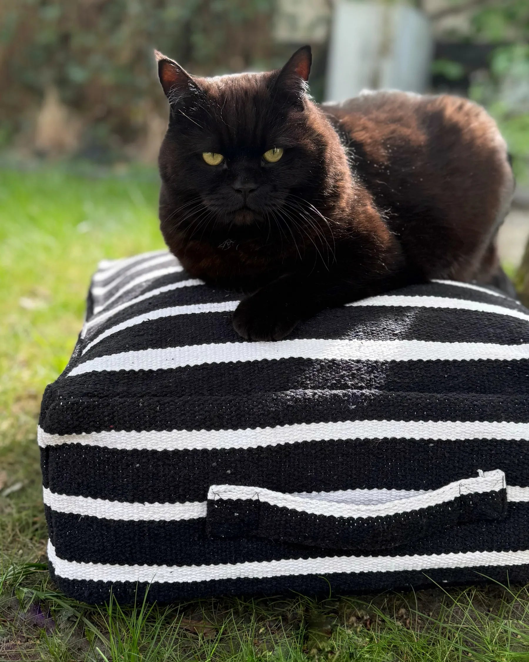 Pouffe SETTAT Cotton Black