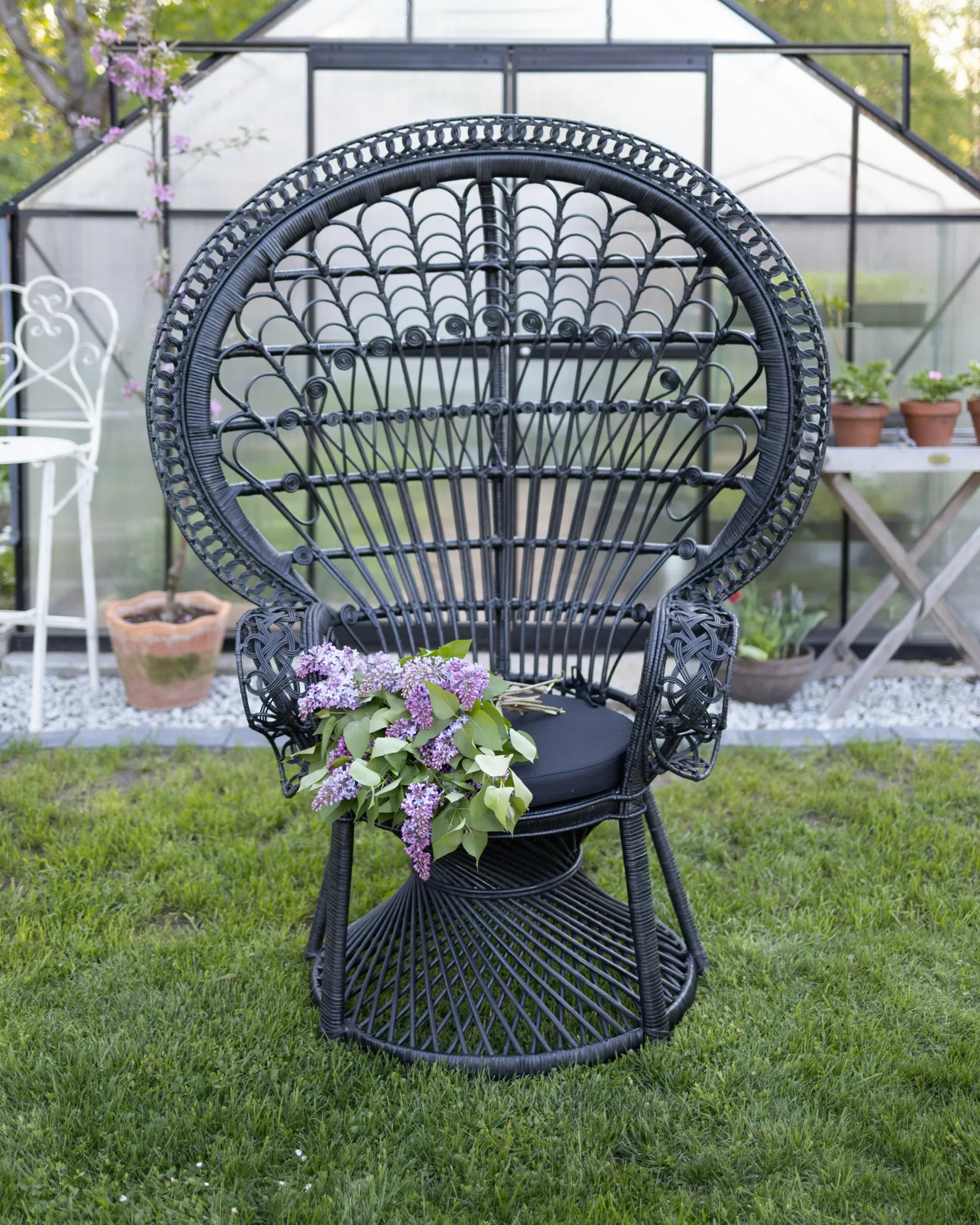 Peacock Chair EMMANUELLE Rattan Black